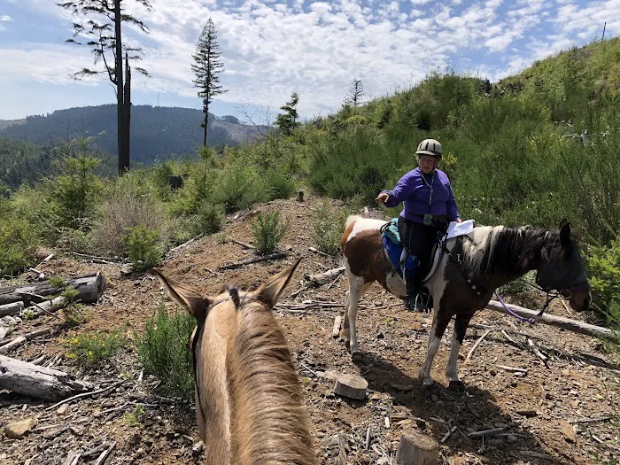 Green Mountain Horse Camp 3