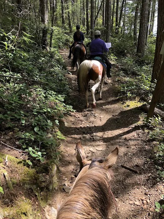 Green Mountain Horse Camp 2