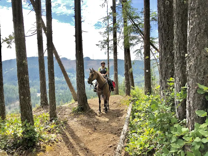 Green Mountain Horse Camp 5
