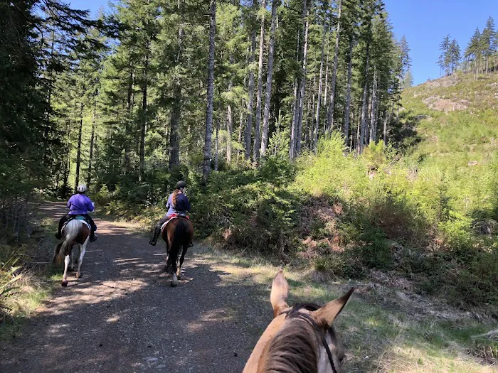 Green Mountain Horse Camp 7