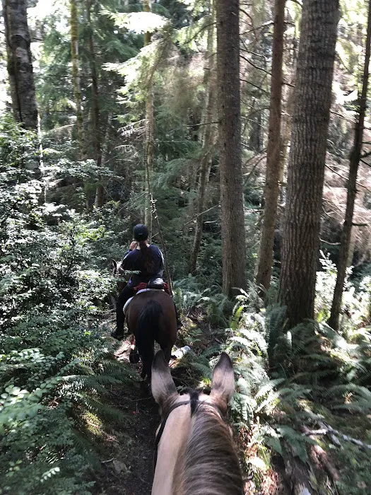 Green Mountain Horse Camp 6