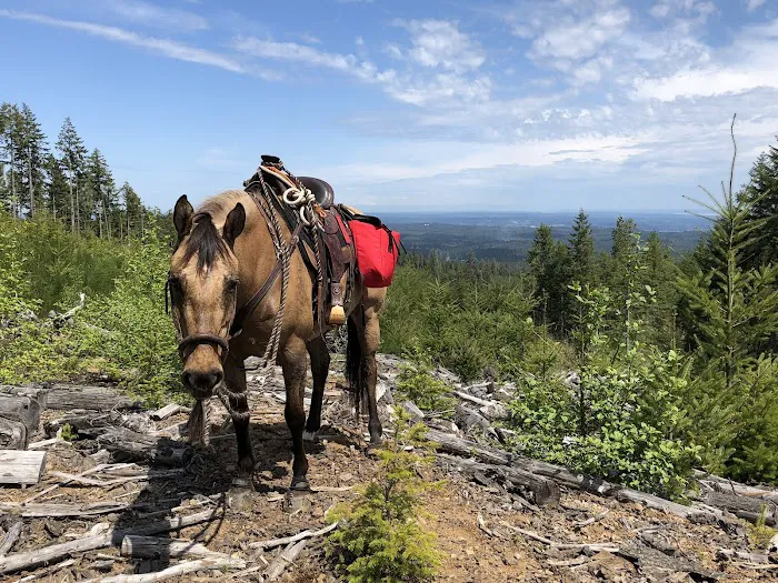 Green Mountain Horse Camp 4
