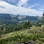 Green Mountain Horse Camp