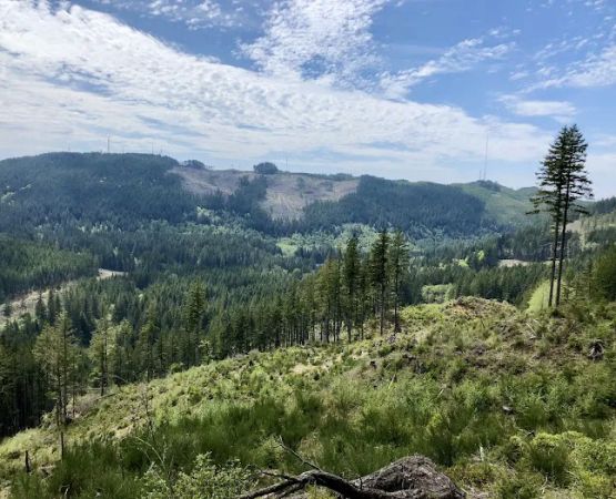 Green Mountain Horse Camp