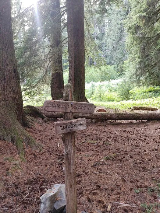 Diamond Meadows 2