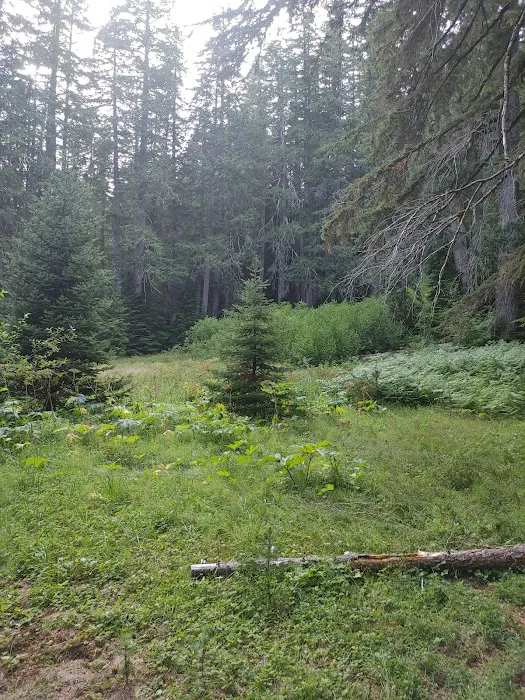 Diamond Meadows 3