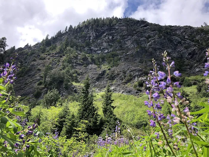 Honeymoon Meadows 0