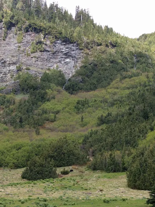 Honeymoon Meadows 4