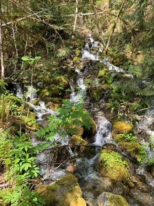 Miller River Campground 6
