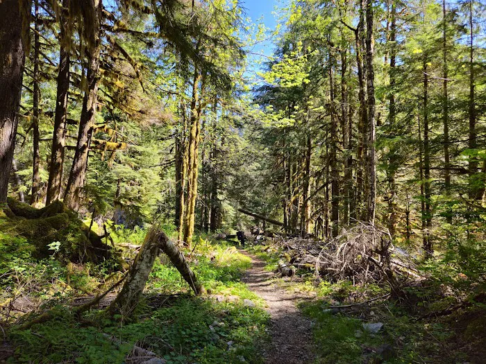 Miller River Campground 2