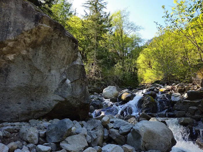 Miller River Campground 9