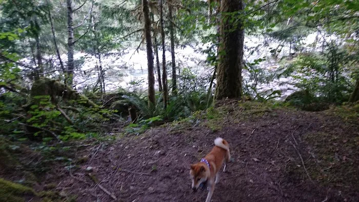 Miller River Campground 8