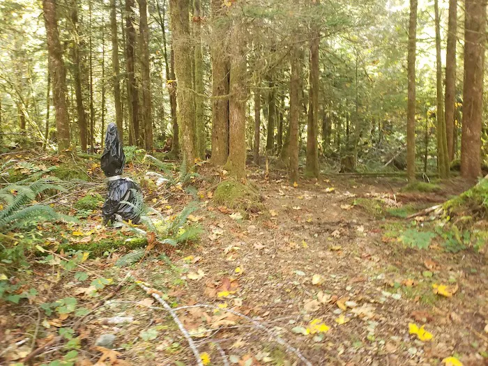 Miller River Campground 1