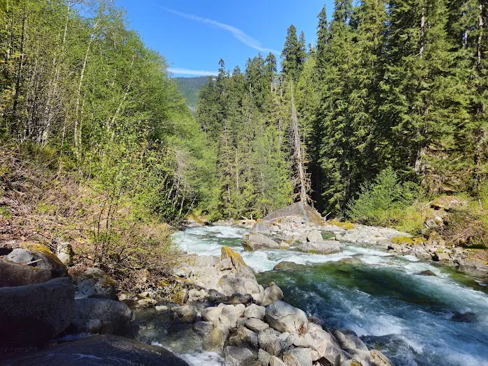 Miller River Campground 5