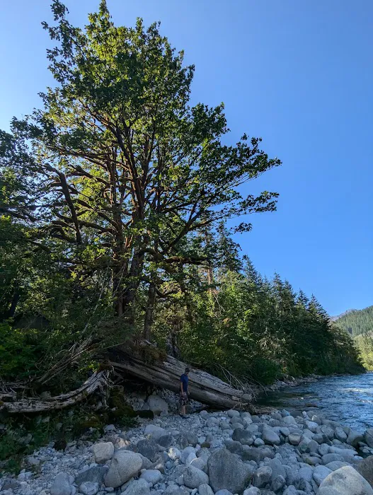 Miller River Campground 3