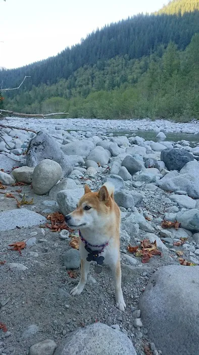 Miller River Campground 7