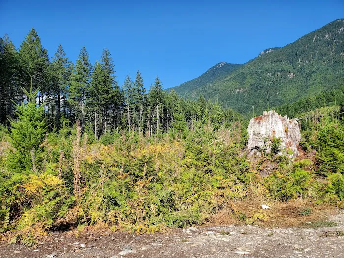 Beckler River Campground 4
