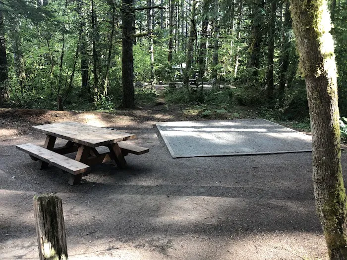 Beckler River Campground 5