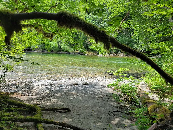 Beckler River Campground 2