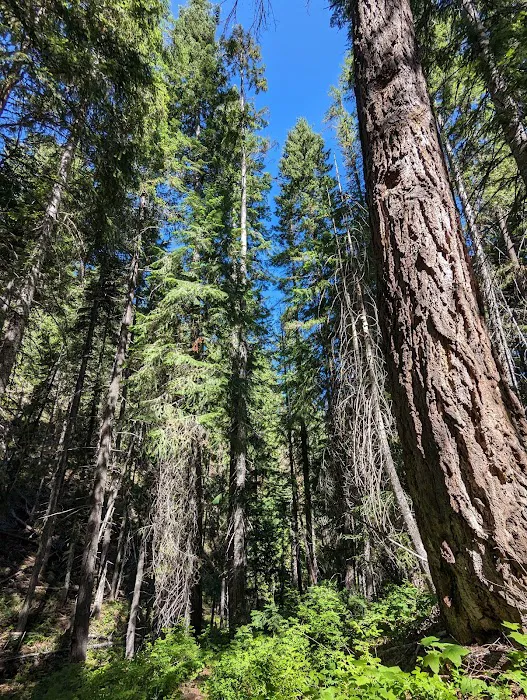 Hells Crossing Campground 8