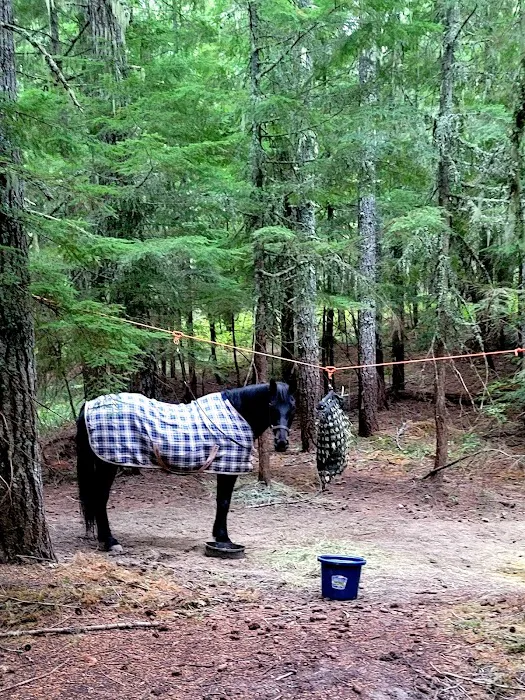 Horse Camp: Walupt 5