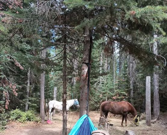 Keenes Horse Camp