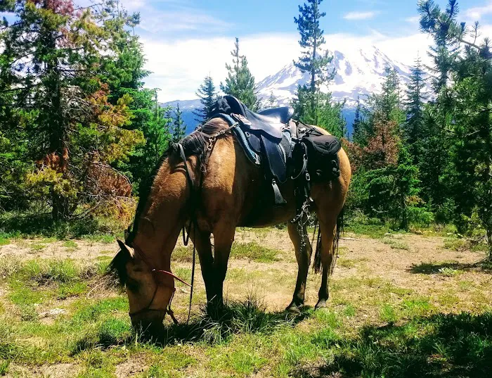 Keenes Horse Camp 5