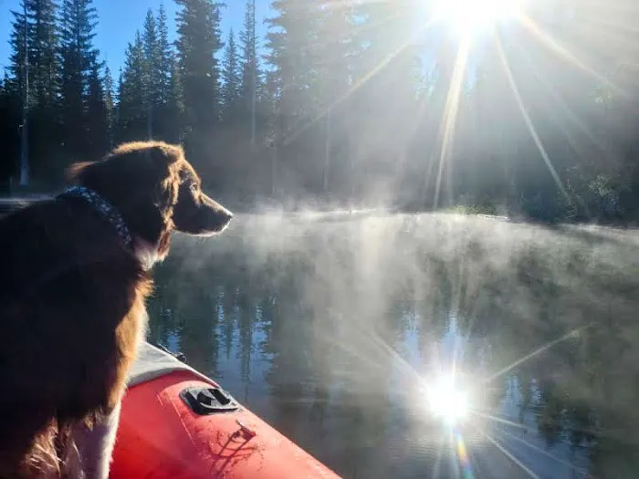 Horseshoe Lake Campground 6