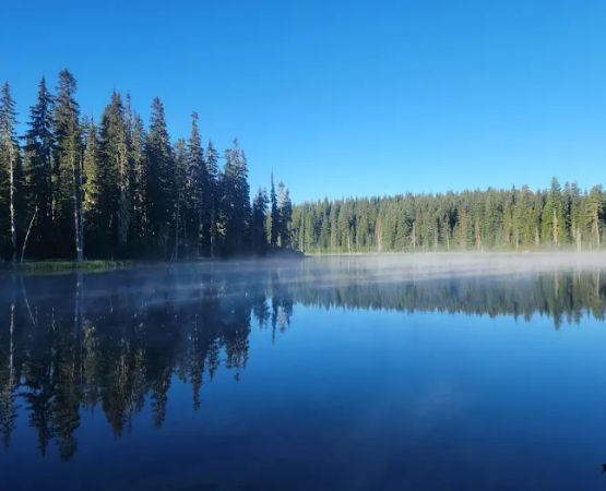 Horseshoe Lake Campground