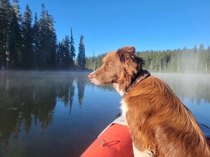 Horseshoe Lake Campground 3