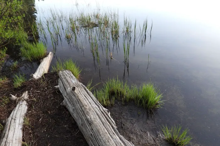 Campground: Olallie Lake 0