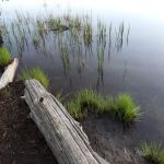 Campground: Olallie Lake