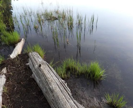 Campground: Olallie Lake