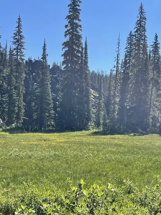 Takhlakh Lake Campground 3