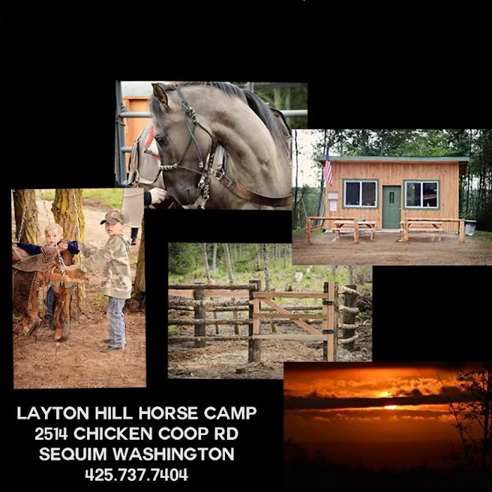 Sage Horse Camp 5