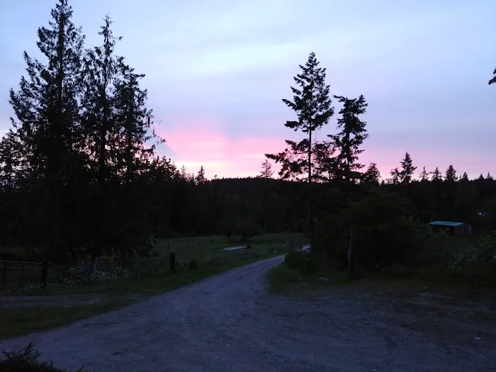 Sage Horse Camp 3