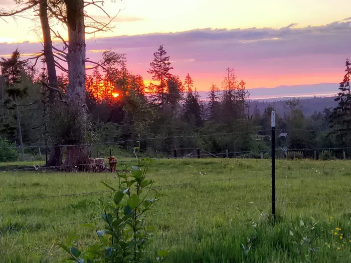 Sage Horse Camp 8