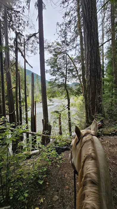 Lebar Horse Camp 0