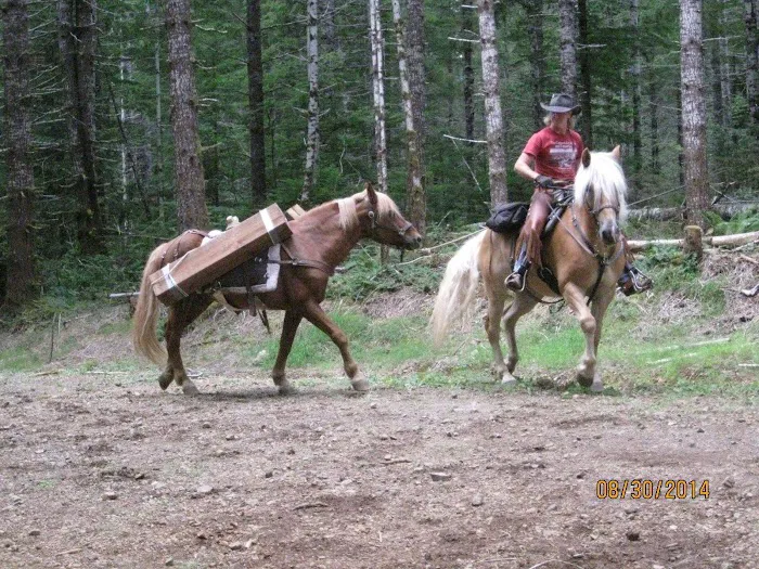Lebar Horse Camp 9