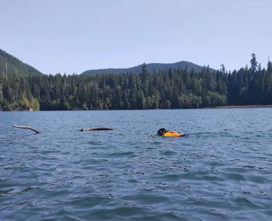 Satsop Center