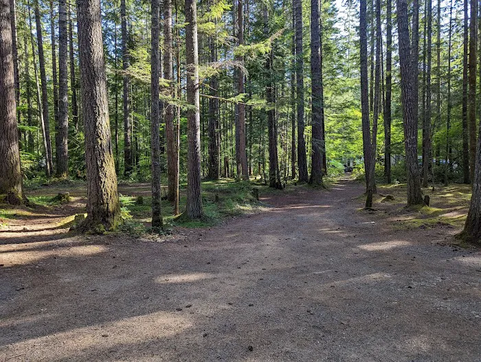 Skokomish Park at Lake Cushman 4