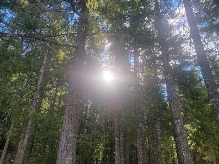 Skokomish Park at Lake Cushman 8