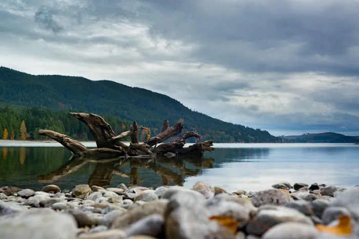 Skokomish Park at Lake Cushman 6
