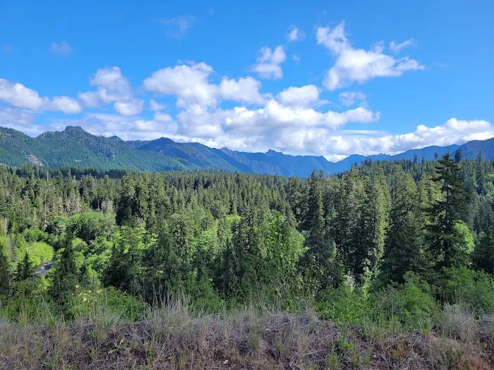 Coho Campground 1