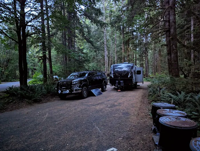 Coho Campground 4