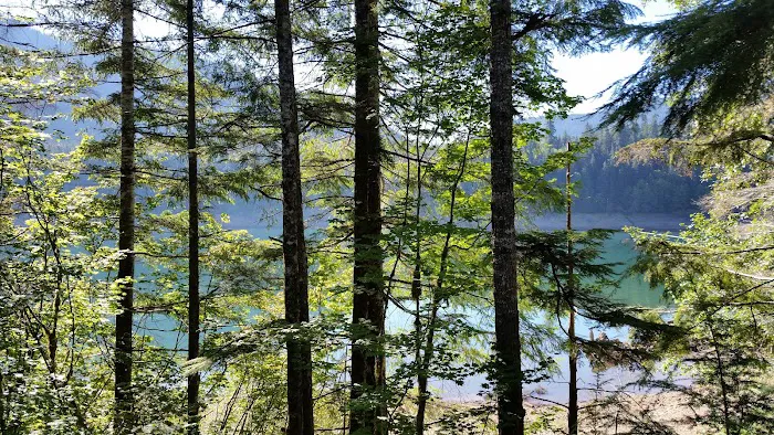 Coho Campground 5