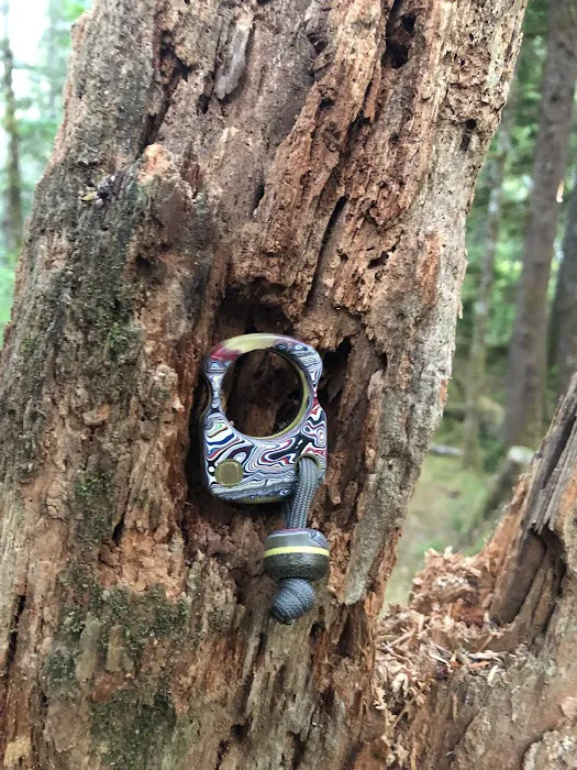 Coho Campground 6