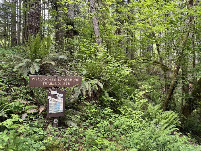 Coho Campground 8