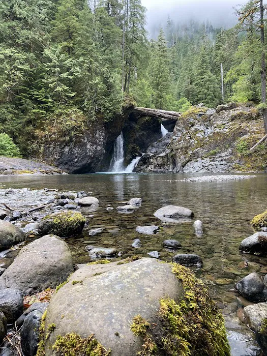 Coho Campground 9
