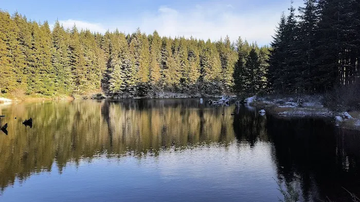 Snag Lake Campground 0